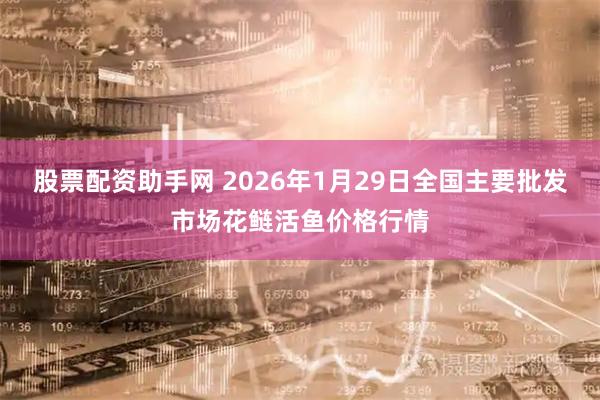 股票配资助手网 2026年1月29日全国主要批发市场花鲢活鱼价格行情