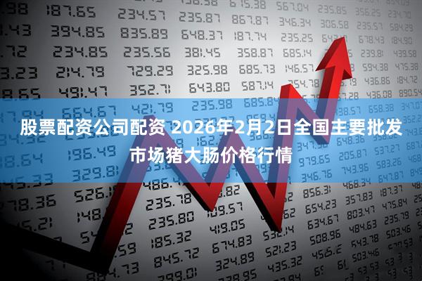 股票配资公司配资 2026年2月2日全国主要批发市场猪大肠价格行情
